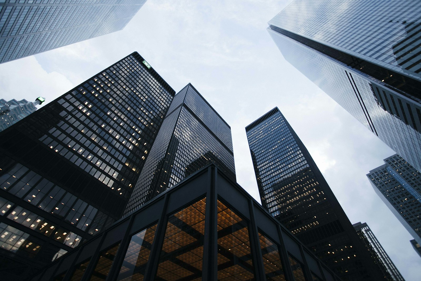 Glass-fronted commercial buildings seen from street level