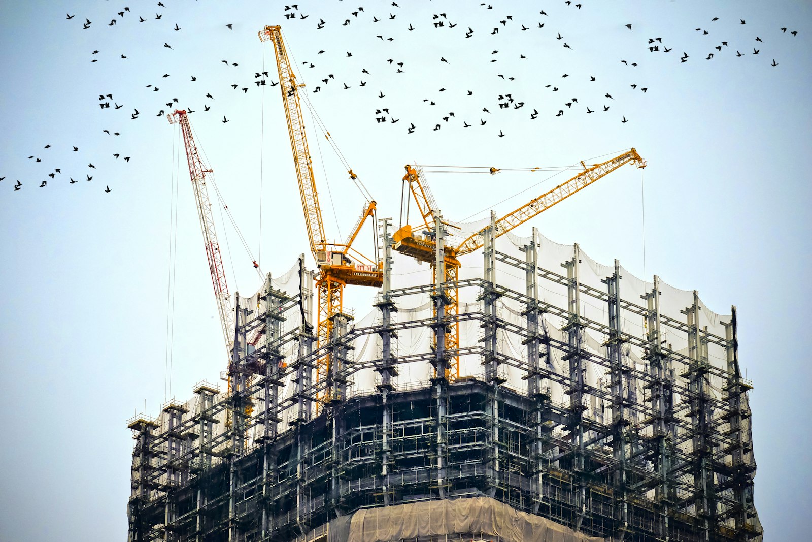 Cranes over a large building site